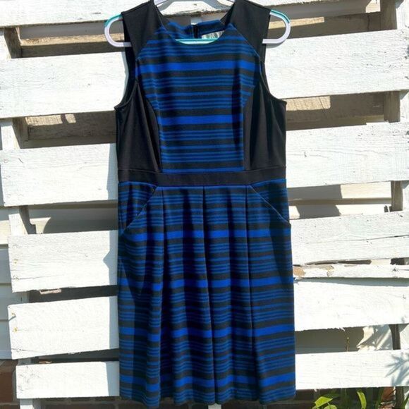 LOFT Sleeveless Dress - Picture 1 of 9